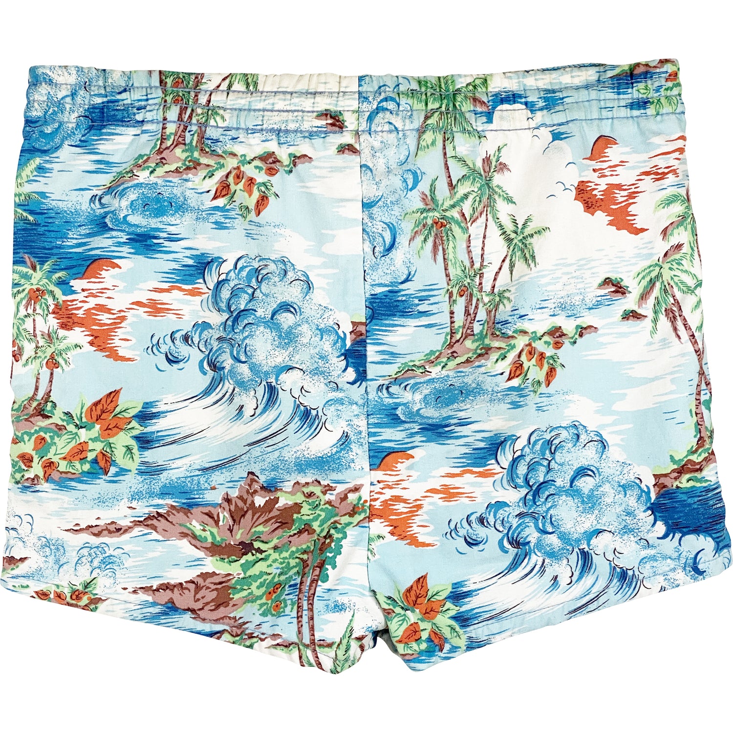 VINTAGE SWIM TRUNKS